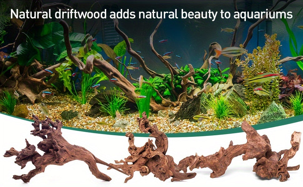 Mixed Natural Driftwood Set (3pcs)