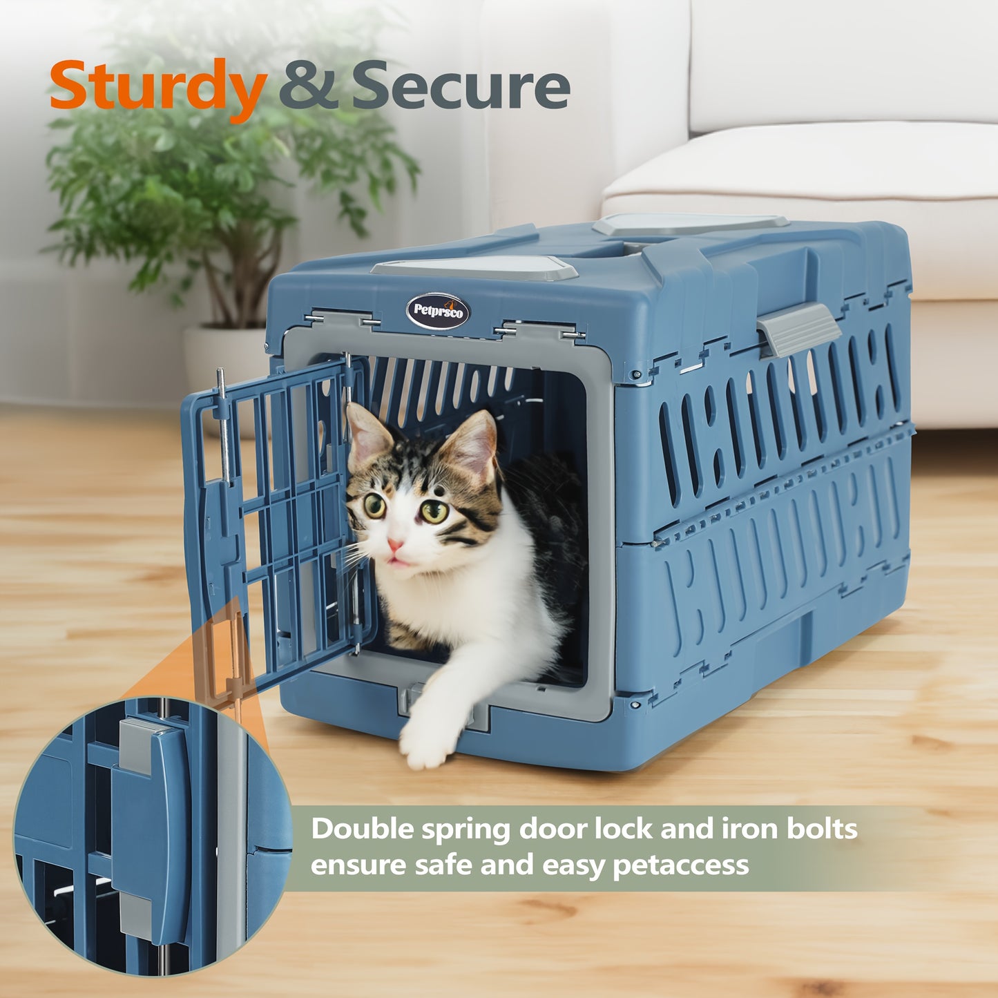 Large Cat Carrier Hard Plastic Folding (Assorted Colors)