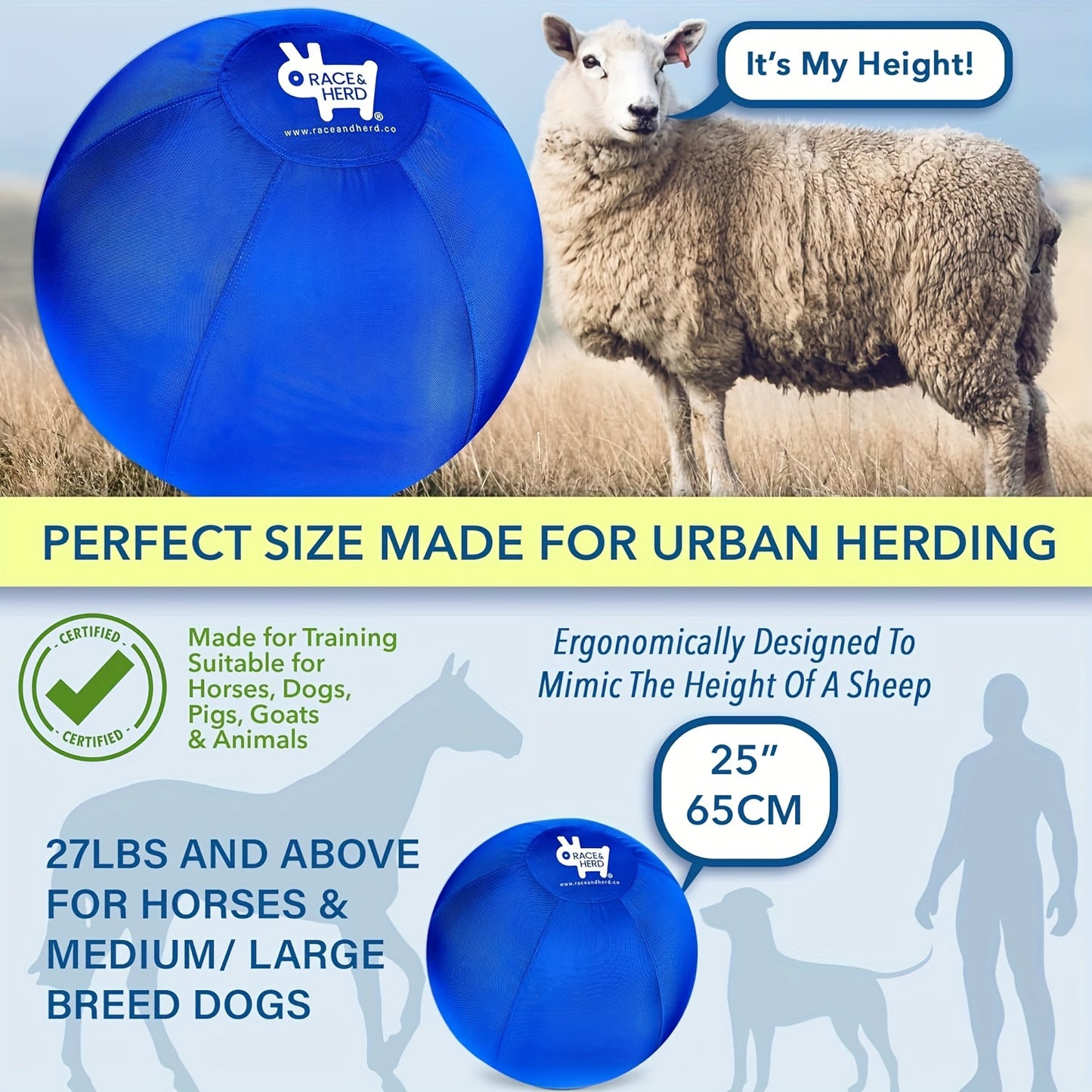 Herding Ball for Dogs Training Set