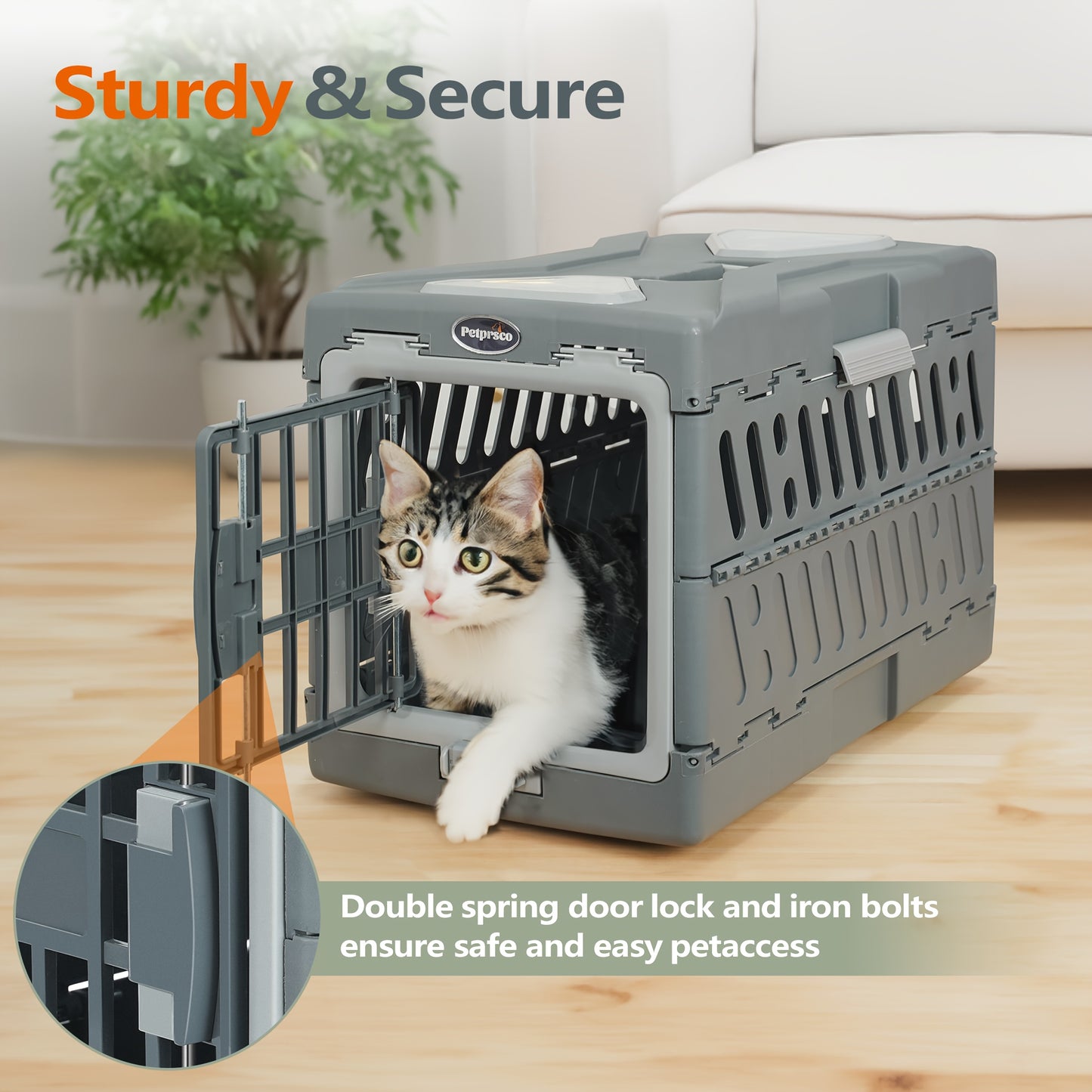 Large Cat Carrier Hard Plastic Folding (Assorted Colors)