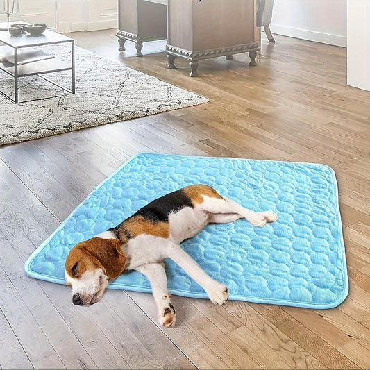 Ez Artic Cushion Pad (Blue)