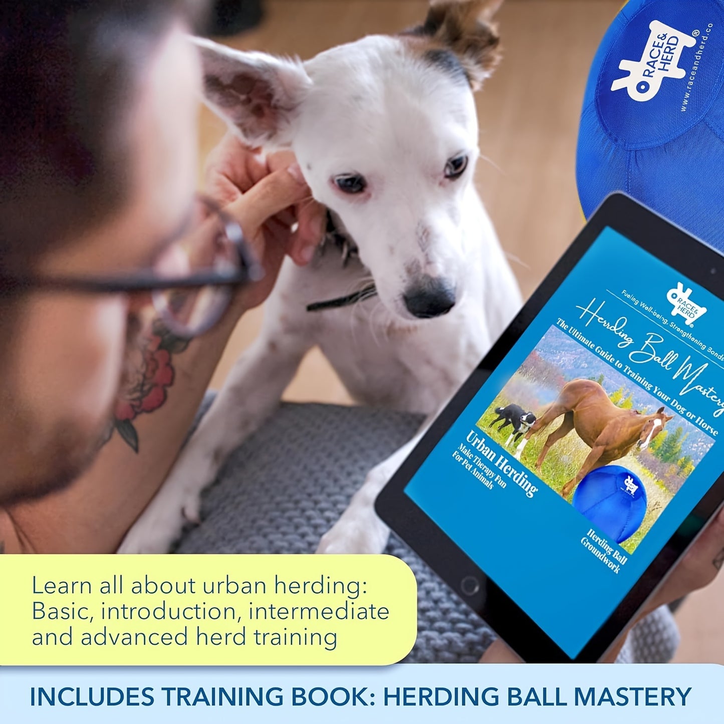 Herding Ball for Dogs Training Set